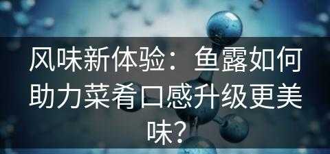 风味新体验：鱼露如何助力菜肴口感升级更美味？